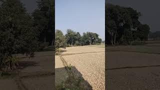VED PRAKASH SINGH