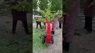 Small Useful Twig Shredder #satisfying #shortsvideo