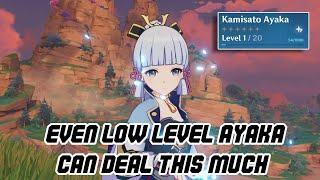 Even a Level 1 Ayaka can One Shot a Boss | Genshin Impact