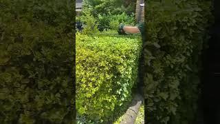 The sun’s out — let’s get your garden looking its best