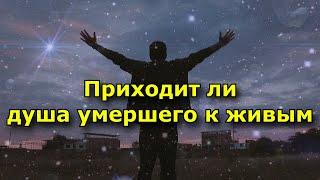 Приходит ли душа умершего к живым и как это происходит.