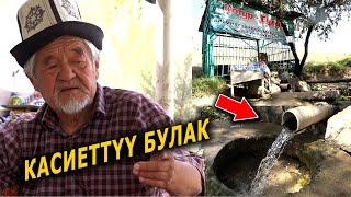 КОТУР булак || КАНДАЙ ООРУЛАРГА пайда!!