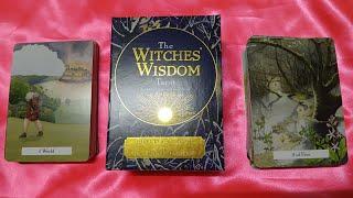 The Witches' Wisdom Tarot