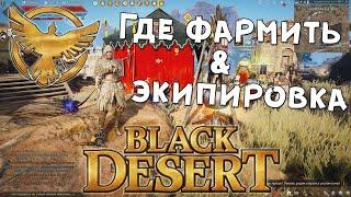 MMORPG Black Desert. Где фармить & экипировка