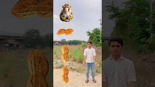 5 June 2025Bandar mama aay pant pazama laay dekho kutta aya fir billi aai-monkey,cat,dog-magic video