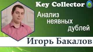 Анализ неявных дублей в KeyCollector