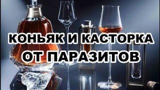 Коньяк и касторка от глистов