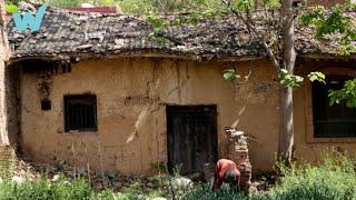 Inheriting an old house from his deceased grandfather, middle-aged man renovates it to survive