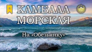  Норвежское море  Камбала морская на "Обезьянку"  Русская рыбалка 4 