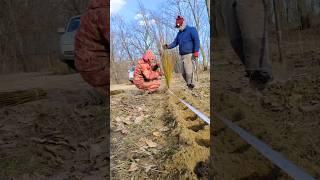 Создание забора из прутьев ивы #тольятти #ива #ландшафт #забор #дача #ландшафтныйдизайн #садовник