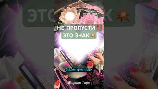 ️ШОК️Сюрпризы Судьбы для Тебя️ #tarotube #таролог #таро #раскладтаро