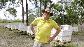 Real stories from commercial beekeepers
