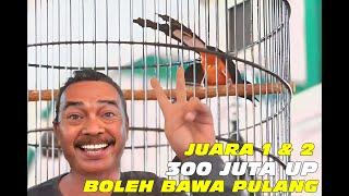 300 JUTA UP BOLEH BAWA PULANG MURAI INI JUARA 1 & 2.