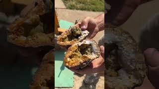 Lost pile of possible GEODES found