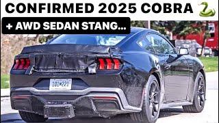 It’s True! COBRA!  & AWD SEDAN STANGS Coming! *Dealer Meetings