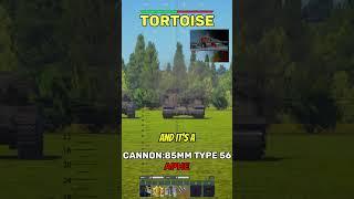 Weak Spot of the tortoise in War Thunder