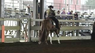 Novice Western Pleasure - Friday 2017 (Juin circuit QQHA)