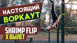 Элемент 41. ShrimpFlip (X Вылет)