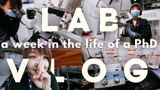 LAB VLOG: moving on from a rejected manuscript  | UBC PhD Vlog | A week in the life of a PhD