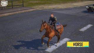 Horses will be permanently added to Classic Mode    | PUBG MOBILE Pakistan Official