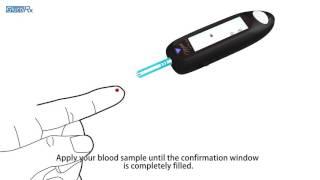 3 Blood Glucose Measurement