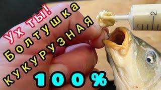 Рыболовная кукурузная болтушка!!! Вкуснятина для КАРАСЯ, КАРПА, САЗАНА, ПЛОТВЫ!!!