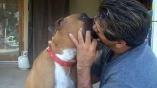 Man kisses dog