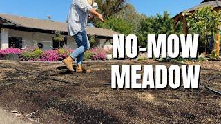  Harvest Morning & Sowing the Meadow in the Center Island! 