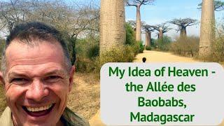 My Idea of Heaven - the Allée des Baobabs, Madagascar