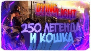 DYING LIGHT | КАК ПОЛУЧИТЬ КОШКУ И 250 ЛЕГЕНДУ | 2020