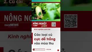 Cuối tháng 9 - đầu tháng 10 trồng củ gì nhanh lên, dễ thu hoạch?  #nôngnghiệphay #tintuc #trongcay