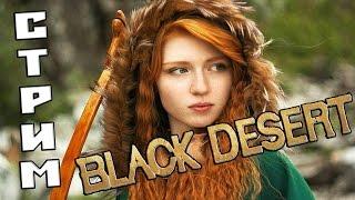 Квесты | Black Desert | Стрим