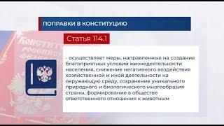 Поправки в Конституцию и экология