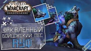 Погрызенные поводья закаленного бойцовского пса [МАУНТ]  - WoW Shadowlands [КАК ПОЛУЧТЬ?]