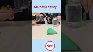 452) mıknatıs deneyi #kindergartenactivities #okulöncesi #anasınıfı #deneyetkinliği