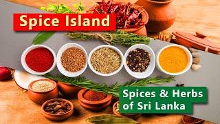 Spice Island | Spices & Herbs of Sri Lanka