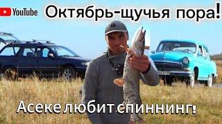 Рыбалка на щуку в октябре на реке ИШИМ. Щука на спиннинг.river spinning fishing