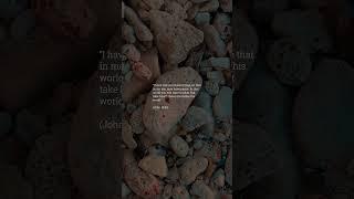 Bible Verse for Today l Peace in Jesus #biblesays