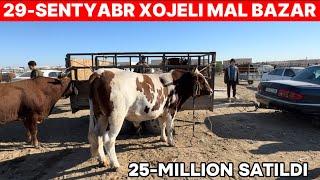 29-СЕНТЯБРЬ ХОЖЕЛИ МАЛ БАЗАРЫ/СКОТНЫЙ РЫНОК/BUQALAR/BIGGEST BULLS IN THE WORLD/BIGG BULLS