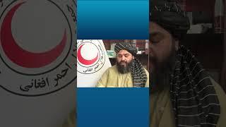 RTA English Breaking News (11_1_2025) Part 3 #shorts #shortvideo #afghanistan #rtaworld