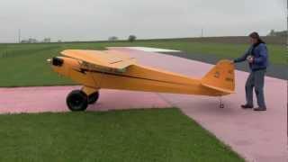 Vintauri RC - Two Thirds Scale Clipped Wing Cub