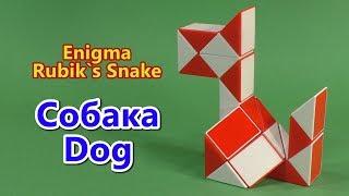 СОБАКА 2 Змейка Рубика | DOG 2 Rubik`s Snake