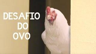 DESAFIO DO OVO CRU: Curso de Gastronomia Basica AO VIVO no Youtube Toda Segunda