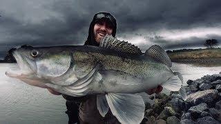 FISCH auf FISCH - Zander eskalieren komplett