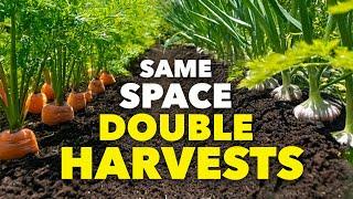 This ONE Clever Trick Doubles Harvests and Protects Your Crops