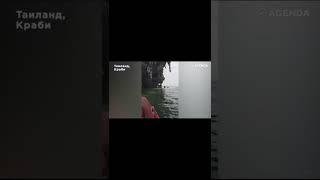 Туристы сняли на камеру неизвестных существ у входа в пещеру #shorts #скрытаякамера #существа