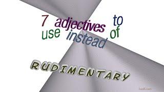 rudimentary - 7 adjectives with the meaning of rudimentary (sentence examples)