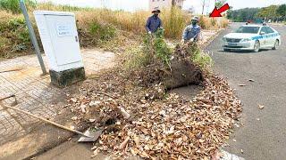 The park’s sidewalk, overgrown with weeds, is being cleaned for free for 10 continuous hours.