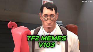 TF2 MEMES V103