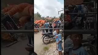 Macan raksasa roboh dan makan korban di acara karnaval#short